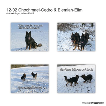 Chochmaël-Cedro & Elemiah-Elim genieten van de vele sneeuw!